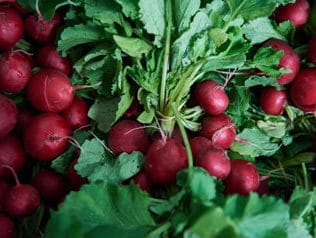 Früchte & Gemüse frisch